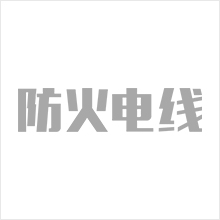 德国进口电线
